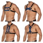 Arnés de Pecho 4WAY Azul Talla Única