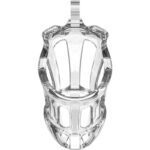 Jaula para el Pene Transparente - Imagen 3