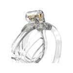 Jaula para el Pene Transparente - Imagen 4