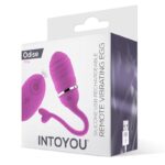 Huevo Vibrador con Control Remoto Odise USB de Silicona - Imagen 2