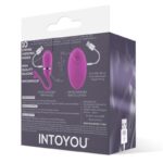 Huevo Vibrador con Control Remoto Odise USB de Silicona - Imagen 5