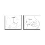 Vibrador para Parejas CoCo - Imagen 4