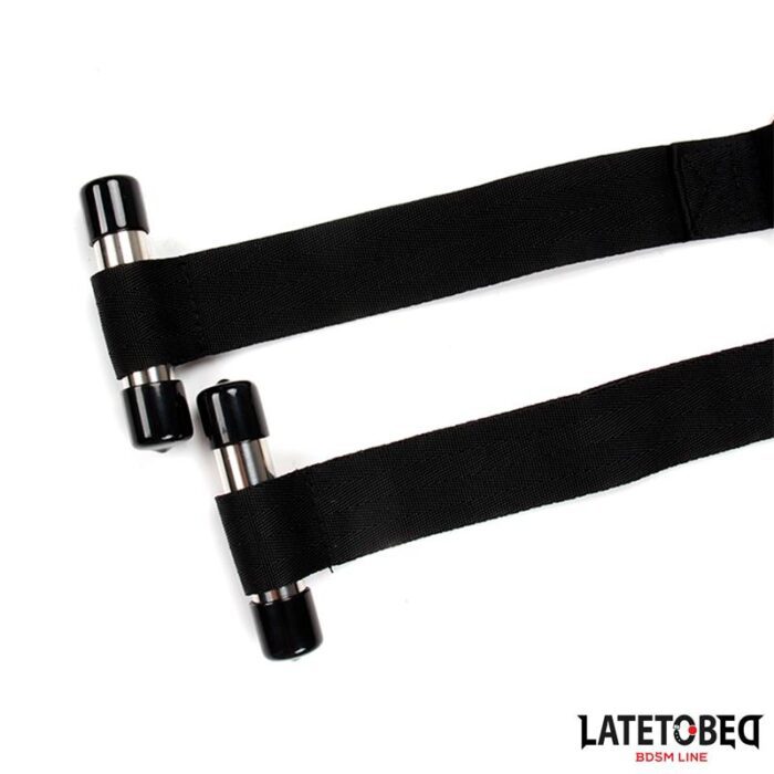 Columpio para Puerta Latetobed - Imagen 4